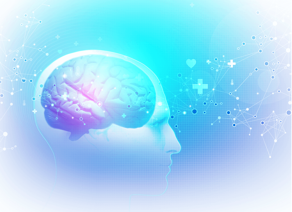 Increased Brain Function - Modafinil.com Increased Brain Function