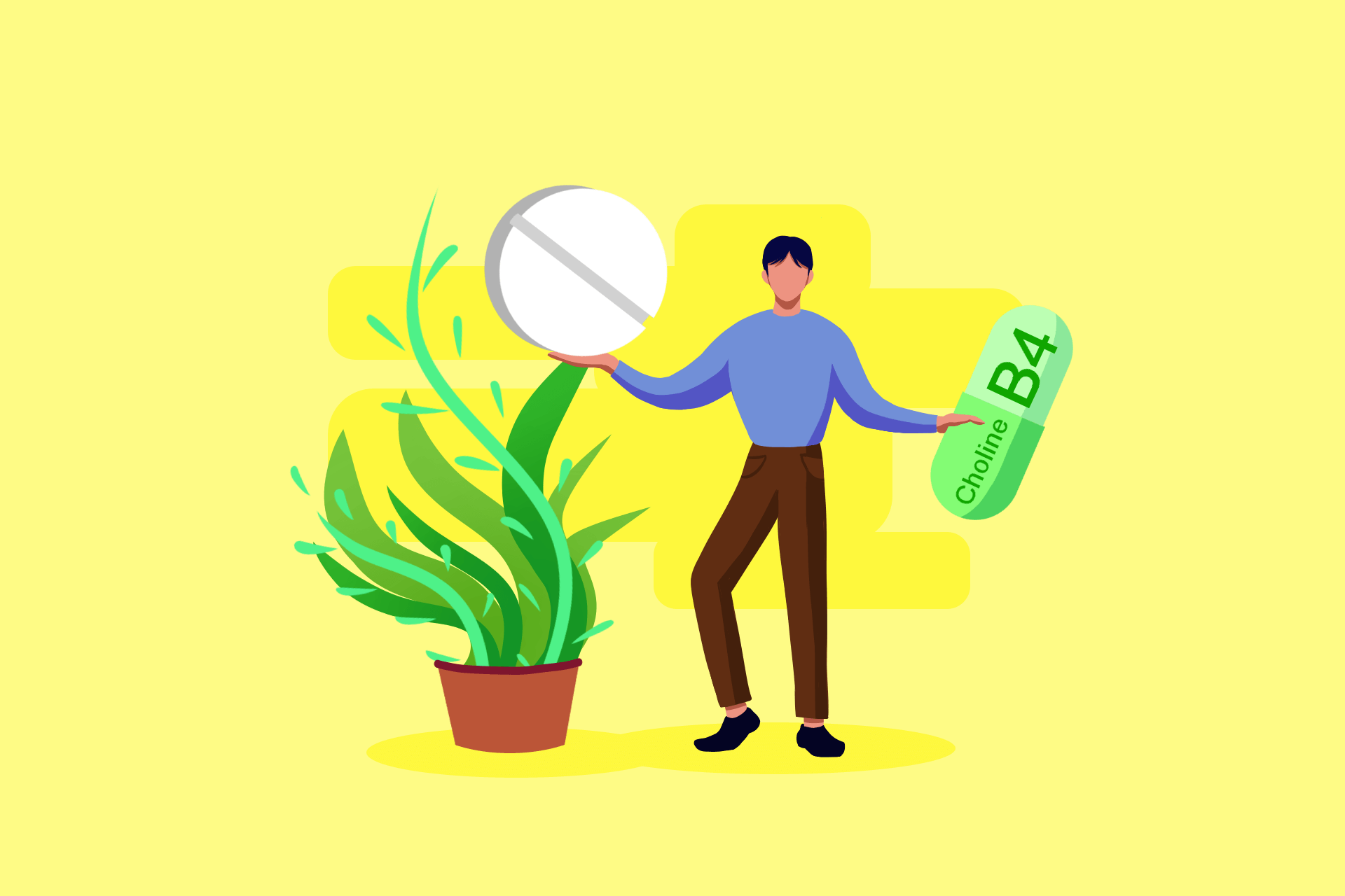 Modafinil and Choline Mix - Modafinil.org Modafinil and Choline Mix